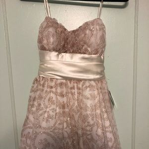 Beautiful glittery dress, never worn!!!